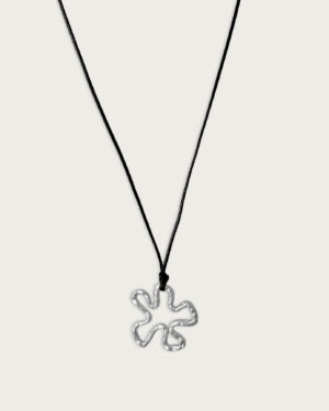 Collar de estrella y puca
